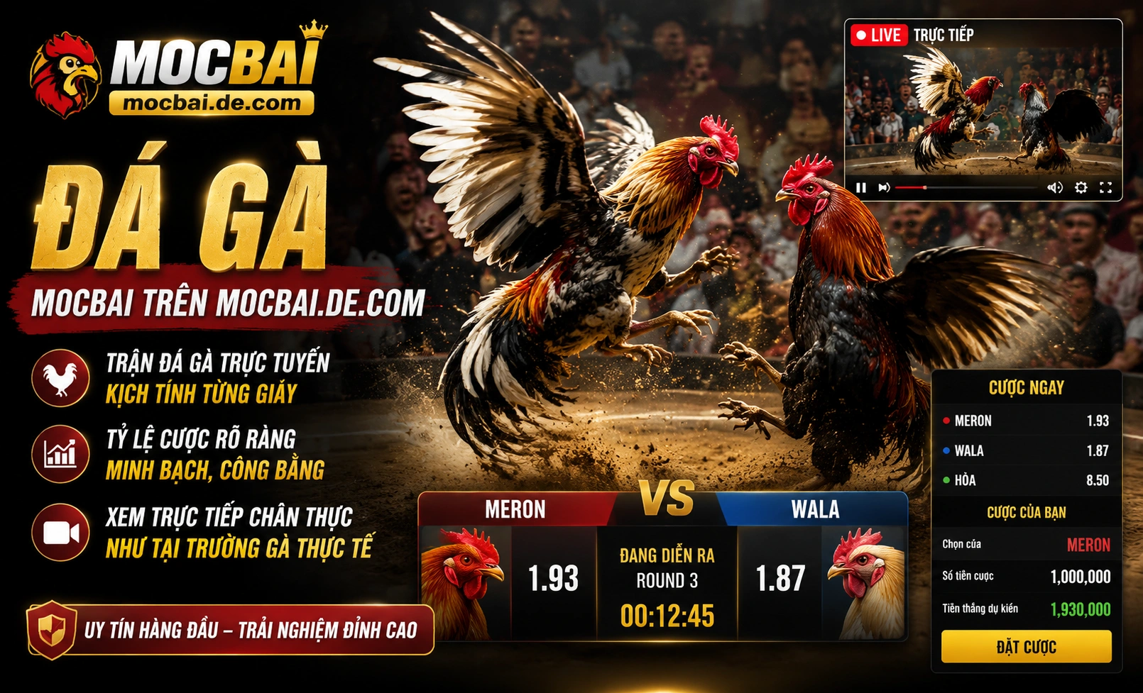 Trải nghiệm người chơi trên MOCBAI